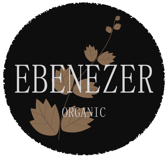 ebenezer