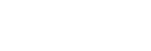 The Perrito