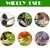 Professional Garden Pruner Scissors, Sharp Bypass Poda Shears, Tree Trimmers, Se na internet