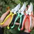 Professional Garden Pruner Scissors, Sharp Bypass Poda Shears, Tree Trimmers, Se