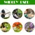 Professional Garden Pruner Scissors, Sharp Bypass Poda Shears, Tree Trimmers, Se na internet