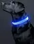 Collares LED en internet