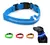 Collares LED - tienda online