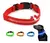 Imagen de Collares LED