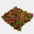 Jardin Vertical Azores - comprar online