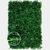 Jardin Vertical Buenos Aires Oscuro en internet