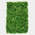 Jardin Vertical Buenos Aires Claro - comprar online