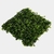 Jardin Vertical Chicago en internet