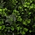 Jardin Vertical Lima - comprar online
