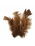 Plumas Mini Marabu 6/9cm. X 2,5gs. (24) Marrón - Cód.08221