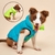 Colete Pet Alby™ Dupla-Face 3 Camadas | Roupa Para Cachorro - comprar online