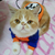 Moletom Pet Goku™ | Roupa Para Gato - PET STOP ONLINE