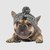 Gorro Pet | Para Cachorro e Gato - PET STOP ONLINE