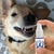 Spray Oral Eliminador de Tártaro e Mau Hálito Pet na internet