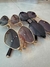 OCULOS 5G131