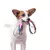 GUIA TRADICIONAL 1,2M MENINAS SUPERPODEROSAS p/ CÃES - Sushi PetShop