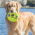 Squeaker Donut - comprar online