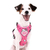 Peitoral Air Hello Kitty p/ Cães - comprar online