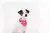 BANDANA HELLO KITTY - Sushi PetShop