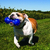 Squeezz Dumbbell na internet