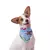 BANDANA MENINAS SUPERPODEROSAS - Sushi PetShop