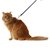 Conjunto Peitoral H de Gato Básico Marinho-Caqui - comprar online