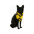 Bandana Harry Potter Lufalufa p/ Cães E Gatos - comprar online