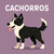 Banner de Sushi PetShop