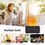 Umidificador de aroma, difusor de fragrância de óleo essencial com chama - comprar online