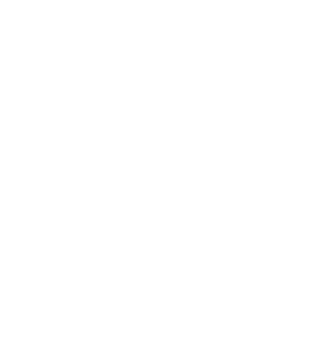 DISV STORE