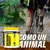 NUTREMAX - EXTREME ENERGY 560GR- NARANJA en internet