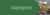 Banner de Productos IPN
