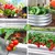 Planter Boxes Galvanized Raised Garden Bed Outdoor for Vegetables Flower Metal - buy online