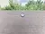 tall Outdoor Fence Windscreen Privacy Screen Shade Cover Garden Pool - buy online