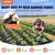 Weed Barrier Landscape Fabric 3*250FT 5oz Woven PP Weed Control Ground Mat - buy online