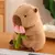 Imagem do Capivara de Pelúcia - Kawaii