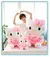 Hello Kitty De Pelúcia - Encanto e Ternura