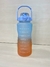 Botella Motivacional 2L en internet