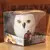 Harry potter tridimensional 3d alívio caneca hedwig coruja caneca aviso de admissão mensageiro copo de cerâmica coruja caneca escritório xícara de caf - Conexao Geek Virtual