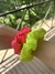FruFru Neon