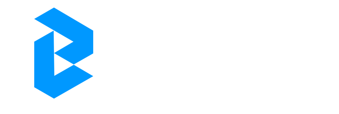 BNF COMPANY 