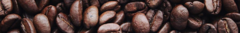 Banner de la categoría Café en Grano Especialidad