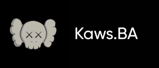Kaws.BA