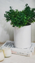 Florero cerámica blanco 20x12 - comprar online