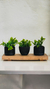 Macetas plasticas mini negro - comprar online