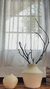 Linea piedra - comprar online