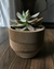Vaso de Flor Cachepot com Estrias Perpendiculares na internet