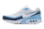 Nike Air Max 91