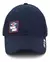 Gorra Alpine Skate - comprar online