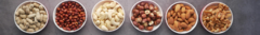 Banner de la categoría FRUTOS SECOS